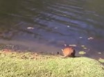 背後から聞こえた突然のクシャミに猫が…