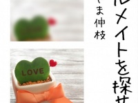 不倫の果ては？　アラサー女子、共感必至のリアル恋愛小説『ソウルメイトを探せ』電子書籍化!!