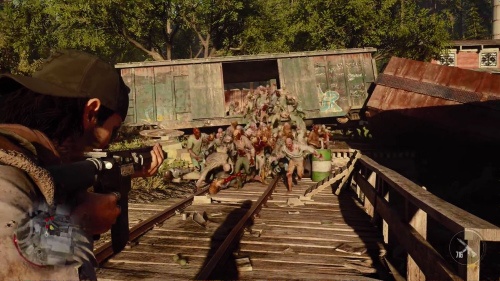 Days Gone