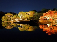 大名庭園に浮かび上がる幻想的な世界！「紅葉と大名庭園のライトアップ」11月19日より実施