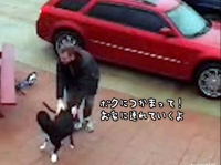 「ボクにつかまって！」凍結した道を歩けない飼い主を助ける犬