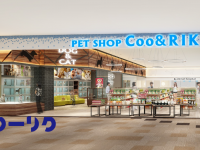 有限会社 Coo&amp;RIKUのプレスリリース画像