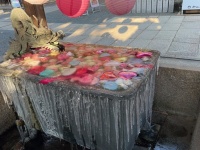 バレンタイン花手水がまさかの〝魔界化〟　凍えそうな光景が「これはこれで」「うっとりする」と話題に