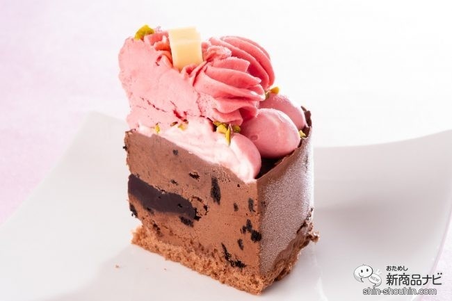 1人分に切り分けられた、ラズベリージェラートとビターチョコレートのアイスケーキ