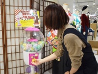 リリース画像より