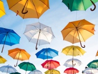 もうすぐ梅雨。ビニール傘をよく使う女性は43％