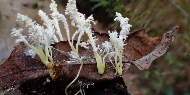 「Doctors Me（ドクターズミー）」コラム画像