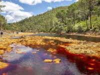 死を招く恐れがある危険な世界8つの水域
