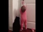「ねぇねぇ開けて！」扉を開けたい子どもと猫のやりとりが微笑ましい。