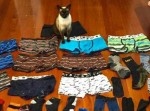 【キャッツアイ】男性の下着ばかり盗む泥棒猫が現われる…