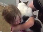 ３年間行方不明だった猫と再会した少女！　その映像が心温まる