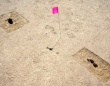 雨が降ったときのみ現れる「幽霊の足跡」ユタ州の砂漠で1万年以上前の古代狩猟民族の足跡を発見