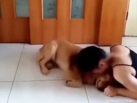 犬のまっすぐな忠誠心に感涙。セラピードッグのトレーニング風景