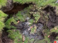 8万体の遺体が埋まっている墓地の跡地に陥没穴が出現！