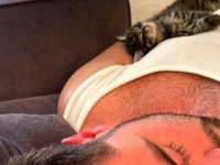 人生初の猫に男性メロメロか。成人男性のわきの下で眠る子猫の姿にReddit民も胸キュン