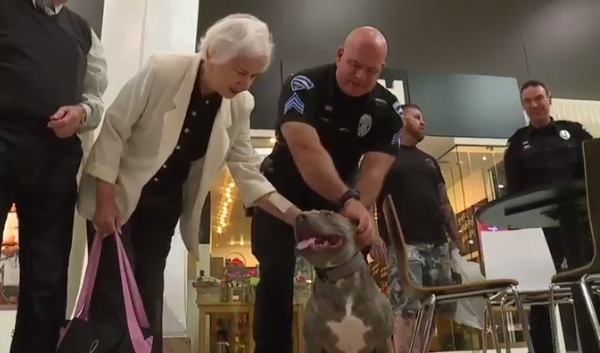 処分寸前だったピット・ブルが警察犬に