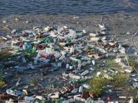 病原体が海を浮遊するプラスチックゴミで繁殖し、世界中に広がっている可能性