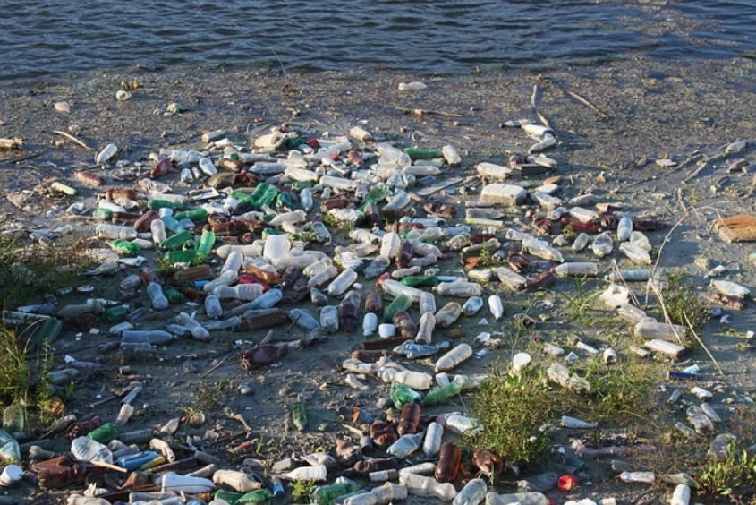 病原体が海を浮遊するプラスチックゴミで繁殖し、世界中に広がっている可能性