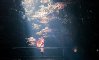 すてきなドラマが始まりそう　和傘の女性を包み込む「天然のスポットライト」が神秘的で美しい