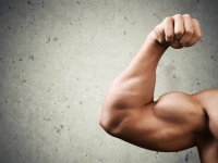 運動欲求を刺激する筋肉のタンパク質を特定。運動をするほど、もっと運動を続けたくなる