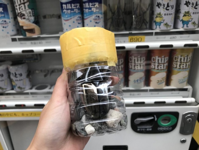 ヘラクレス