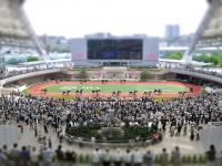 阪神競馬場（kanegenさん撮影、Flickrより）
