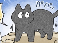 夜、愛猫が急に「独り言」を言い出して...　後に判明した〝理由〟が可愛すぎる件