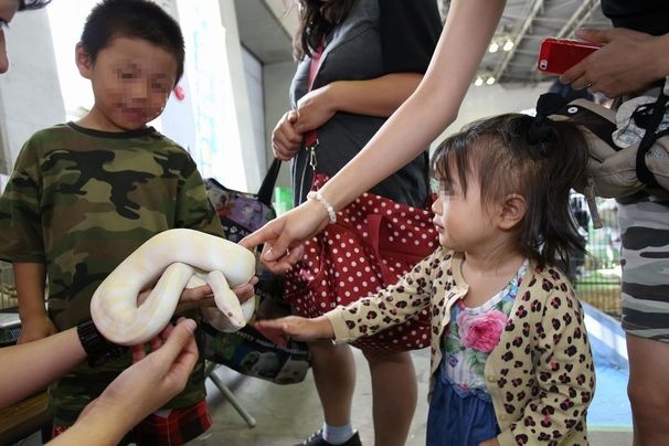 動物たちとのふれあいも楽しめる
