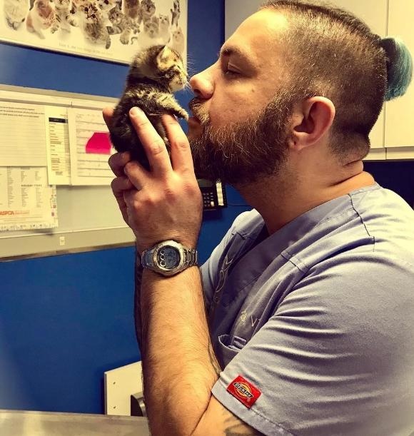 cat-6 [www.imagesplitter.net]