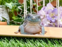 七福神の一員かな？　ありがた～い笑顔を浮かべるカエルちゃんが話題→どういう表情？飼い主に聞いた