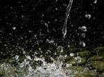史上初！？　ドローンがついに“潮吹き”の瞬間を捉えることに成功！