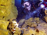 世界最大の水中洞窟が発見される。そこにはマヤの秘密が眠っていた（メキシコ）