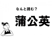【難読】なんて読む？ 「蒲公英」の正しい読み方