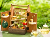 星野リゾートのプレスリリース画像