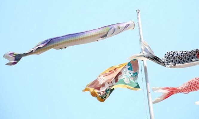 東京タワーの「鯉のぼりの群れ」には1匹だけ〝違う魚〟が紛れているらしい　あなたは見つけられるかな？