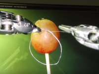 ブドウの手術が行われただと？医療用ロボットハンドでブドウのオペを行う動画が話題に