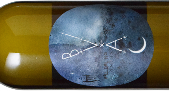 株式会社モトックスのプレスリリース画像