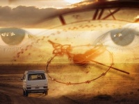 心のタイムトラベルを可能にする脳の「時間細胞」を発見