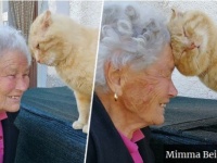 地震で行方不明になっていた飼い猫と4年ぶりに再会（イタリア）