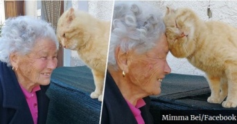 地震で行方不明になっていた飼い猫と4年ぶりに再会（イタリア）