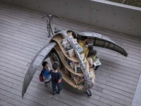 テントウムシの羽をパカっと開くと本がいっぱい！夢がいっぱいつまったテントウムシ自転車の移動図書館