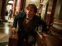 エディ・レッドメイン演じる『ファンタビ』おっちょこちょい主人公ニュート、ホグワーツ時代の「ある過去」が明らかに　ドキドキの特別映像