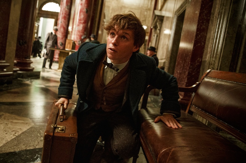 エディ・レッドメイン演じる『ファンタビ』おっちょこちょい主人公ニュート、ホグワーツ時代の「ある過去」が明らかに　ドキドキの特別映像