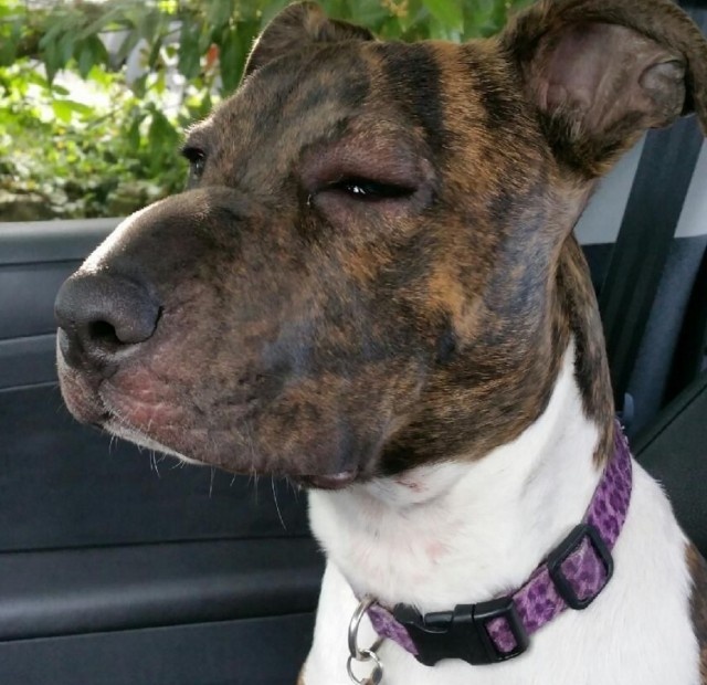 スクリーンショット 2016-04-24 19.58.38