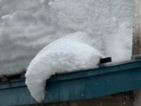 「爆速で這いずり追いかけてくるやつ」「こっち見てる」　温泉街に現れた〝白い怪物〟激写される