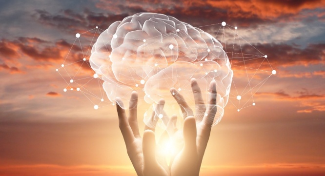 Dream Art Laboratoryのプレスリリース画像