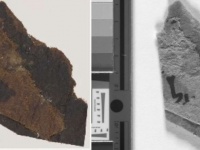 死海文書の断片に肉眼では見えない隠し文字を発見（英研究）