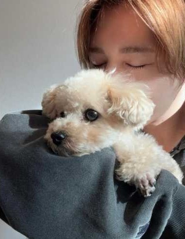 Instagram:山田涼介 (@ryosuke_yamada059)より