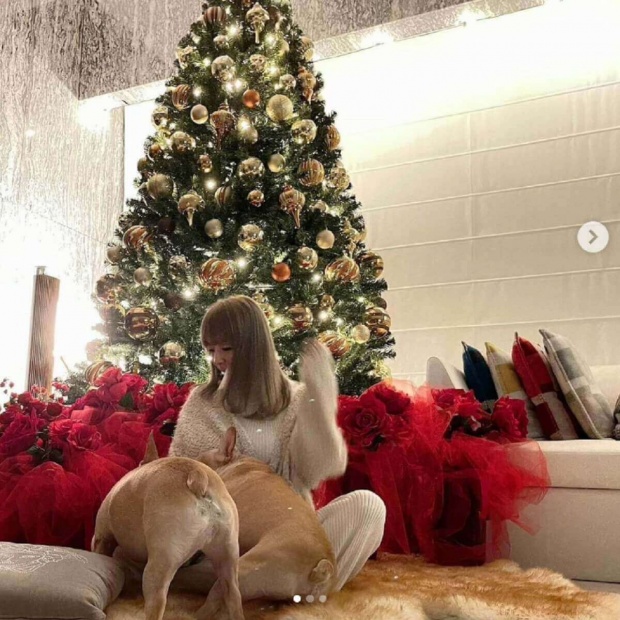浜崎あゆみ、自宅の豪華クリスマスツリーに大反響「あゆの家に住みたい」