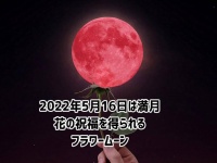5月16日は満月。花の祝福を全身で受け止めよう！